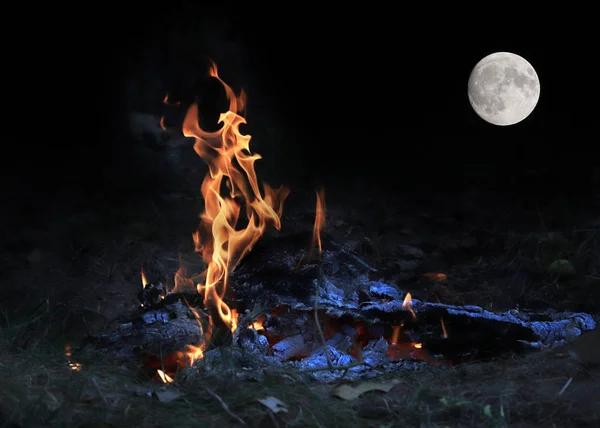 Llama Brillante Incendio Forestal Una Luna Llena Sobre Horizonte —  Fotos de Stock