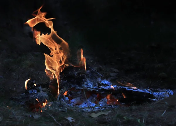 Helle Flamme Eines Waldbrandes Und Vollmond Über Dem Horizont — Stockfoto