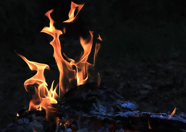 Helle Flamme Eines Waldbrandes Und Vollmond Über Dem Horizont — Stockfoto