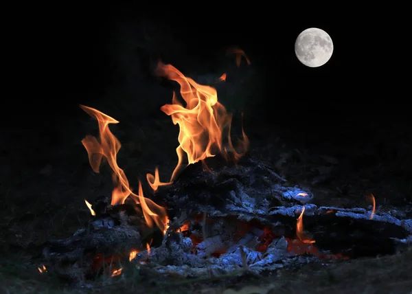 Chama Brilhante Incêndio Florestal Uma Lua Cheia Acima Horizonte — Fotografia de Stock