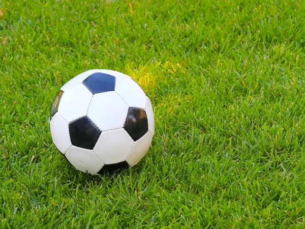 Футбольный Мяч Лежит Зеленой Траве Газона — стоковое фото
