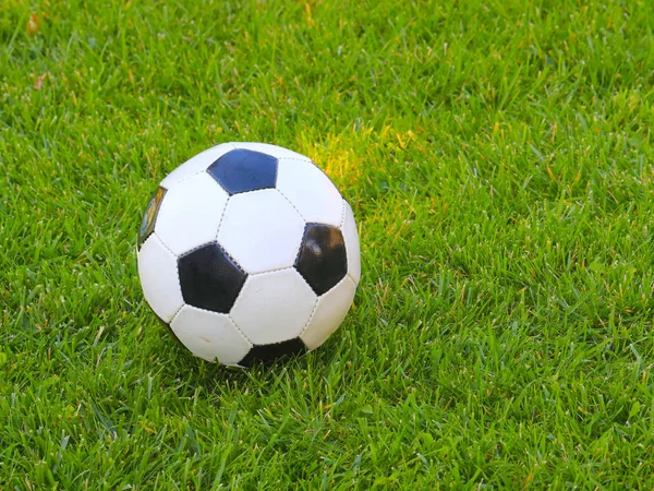 Fußball Liegt Auf Dem Grünen Rasen — Stockfoto