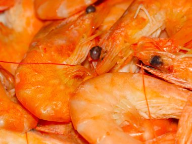 bir çerez içecek olarak haşlanmış deniz karides hizmet