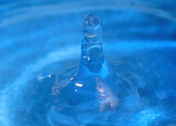 a drop of pure water creates fantasy patterns when striking the surface of a liquid