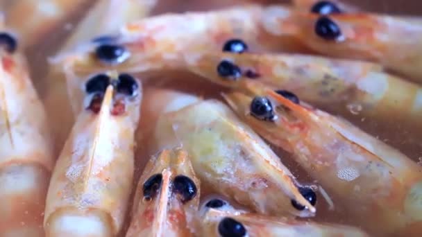 Proces Vaření Krevety Vroucí Vodě — Stock video