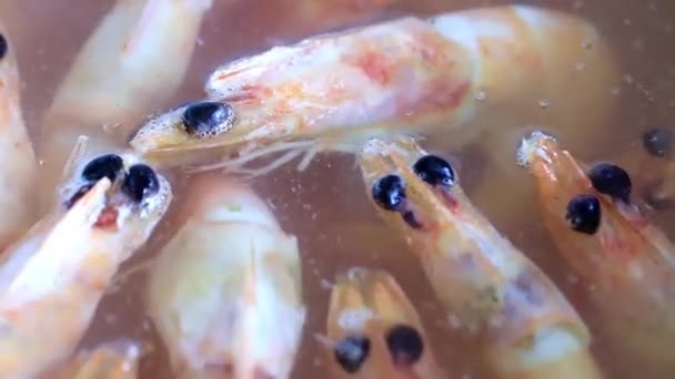 Processus Cuisson Des Crevettes Dans Eau Bouillante — Video