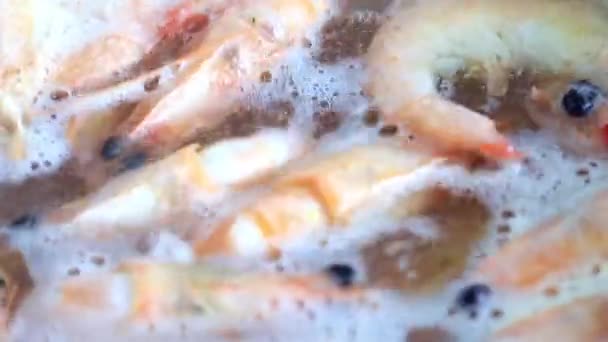 Process Cooking Shrimp Boiling Water — Stock Video