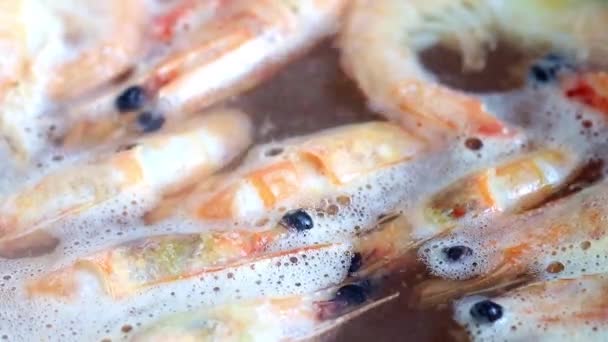 Processus Cuisson Des Crevettes Dans Eau Bouillante — Video