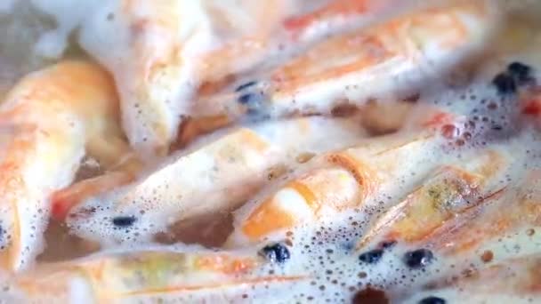 Process Cooking Shrimp Boiling Water — Stock Video