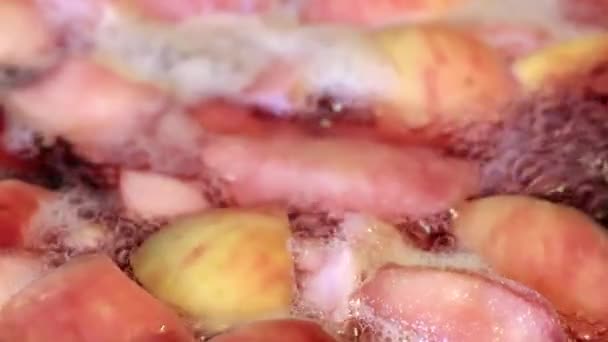 Acqua Bollente Nella Preparazione Composta Frutta Secca — Video Stock