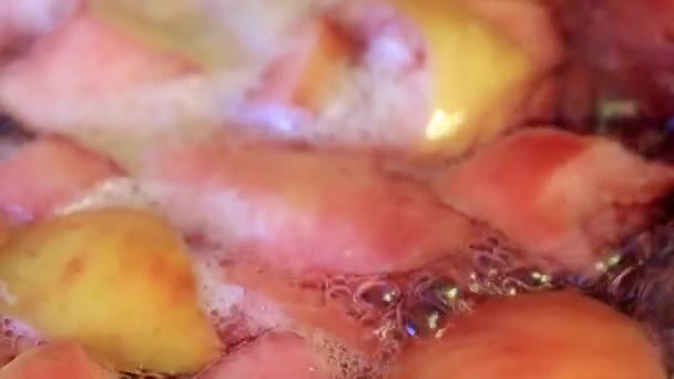 Boiling Water Preparation Dried Fruit Compote — Stock Video