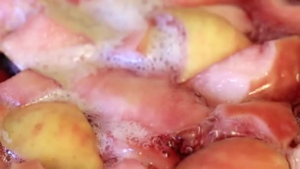 Kurutulmuş Meyve Kompostosu Hazırlanmasında Kaynar — Stok video