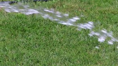 Bahçe çim yeşil çim temiz su ile sulama