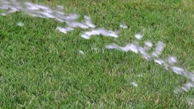 Bahçe çim yeşil çim temiz su ile sulama