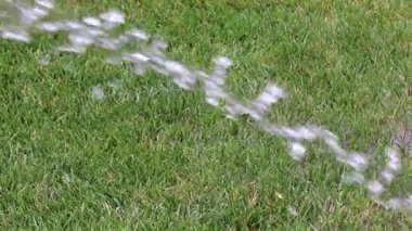 Bahçe çim yeşil çim temiz su ile sulama