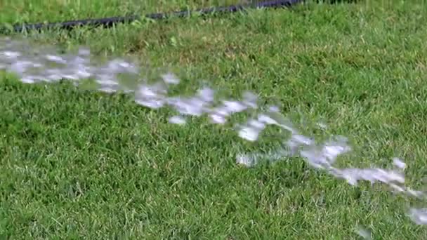 Menyirami Rumput Hijau Halaman Taman Dengan Air Bersih Yang Mengalir — Stok Video