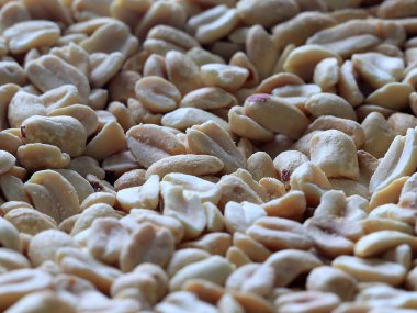 soyulmuş fındık fıstık Aperatif bir unsuru olarak