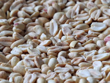 soyulmuş fındık fıstık Aperatif bir unsuru olarak