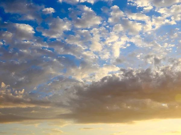 Beautiful Blue Sunny Sky Part Wildlife — Stock Photo, Image