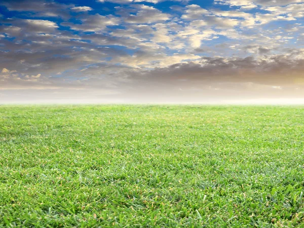 Beautiful Green Grass Meadow Summer Sunny Sky — Stock Photo, Image