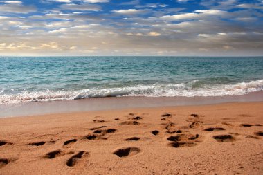 kumlu güneşli deniz plaj yaz göğün altında