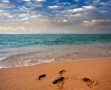 kumlu güneşli deniz plaj yaz göğün altında