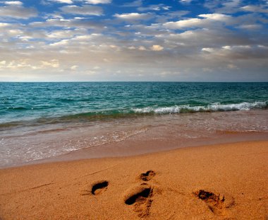 kumlu güneşli deniz plaj yaz göğün altında