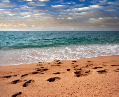 kumlu güneşli deniz plaj yaz göğün altında