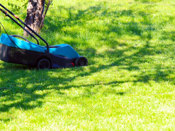 cutting fresh green grass from a lawn garden with an electric lawn mower