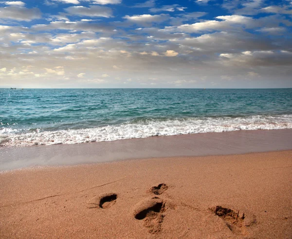 kumlu güneşli deniz plaj yaz göğün altında