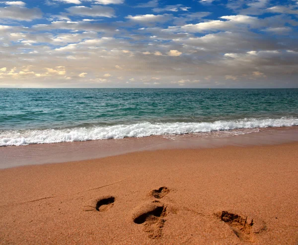 kumlu güneşli deniz plaj yaz göğün altında