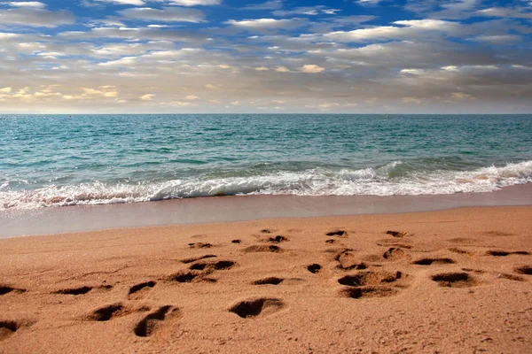 kumlu güneşli deniz plaj yaz göğün altında