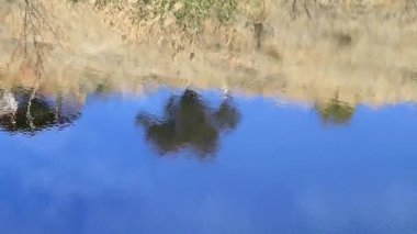 Nehrin berrak su alanında eğimi yansıması