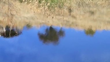 Nehrin berrak su alanında eğimi yansıması