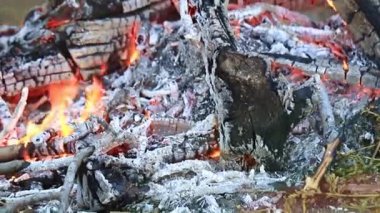 orman yangını kömür ve parlak alevleri