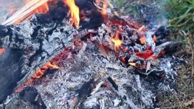 orman yangını kömür ve parlak alevleri