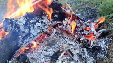 orman yangını kömür ve parlak alevleri