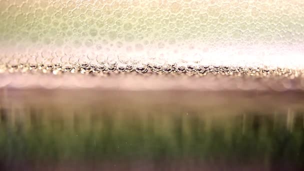 Bulles Air Dans Mousse Surface Liquide — Video