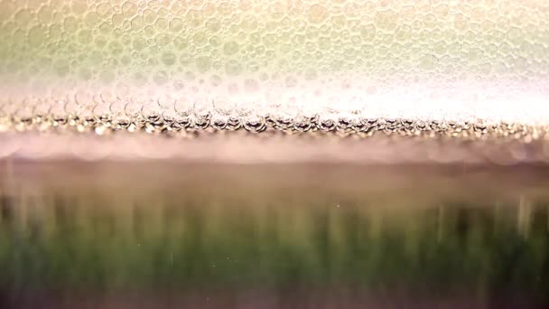 Air Bubbles Foam Surface Liquid — Stock Video