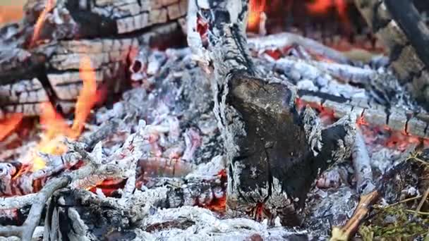 Holzkohle Und Lichte Flammen Eines Waldbrandes — Stockvideo