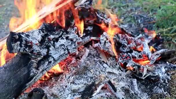 Κάρβουνο Και Φωτεινά Φλόγες Της Πυρκαγιάς — Αρχείο Βίντεο