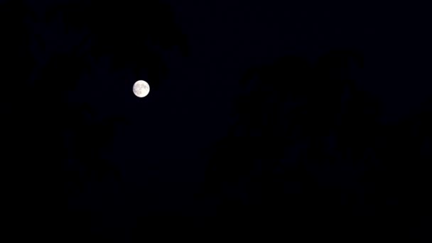 Hermosa Luna Llena Cielo Nocturno Verano — Vídeos de Stock