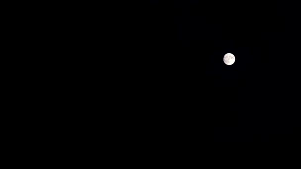 Hermosa Luna Llena Cielo Nocturno Verano — Vídeos de Stock