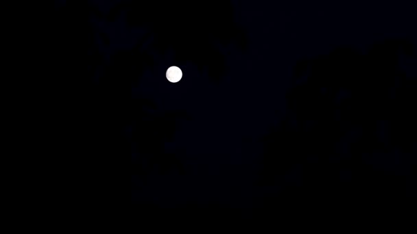 Bela Lua Cheia Céu Noturno Verão — Vídeo de Stock