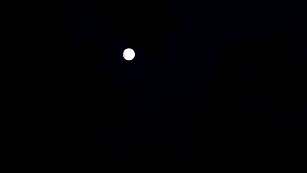 Hermosa Luna Llena Cielo Nocturno Verano — Vídeos de Stock