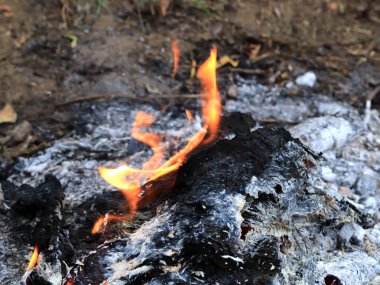 Orman atık bahçede yanan üzerinden kırmızı-sıcak kömür