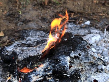 Orman atık bahçede yanan üzerinden kırmızı-sıcak kömür