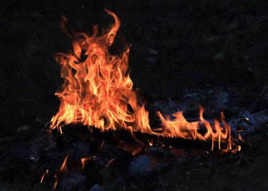 parlak alevler ve kömürde orman yangını