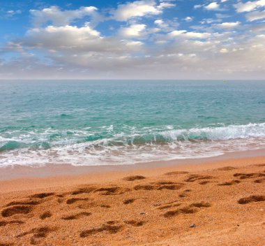 güzel kumlu Mediterranean beach ve yaz gökyüzü
