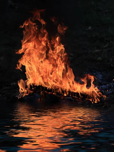 Язики Яскраве Полум Вугілля Лісовому Пожежі Березі Водойми — стокове фото